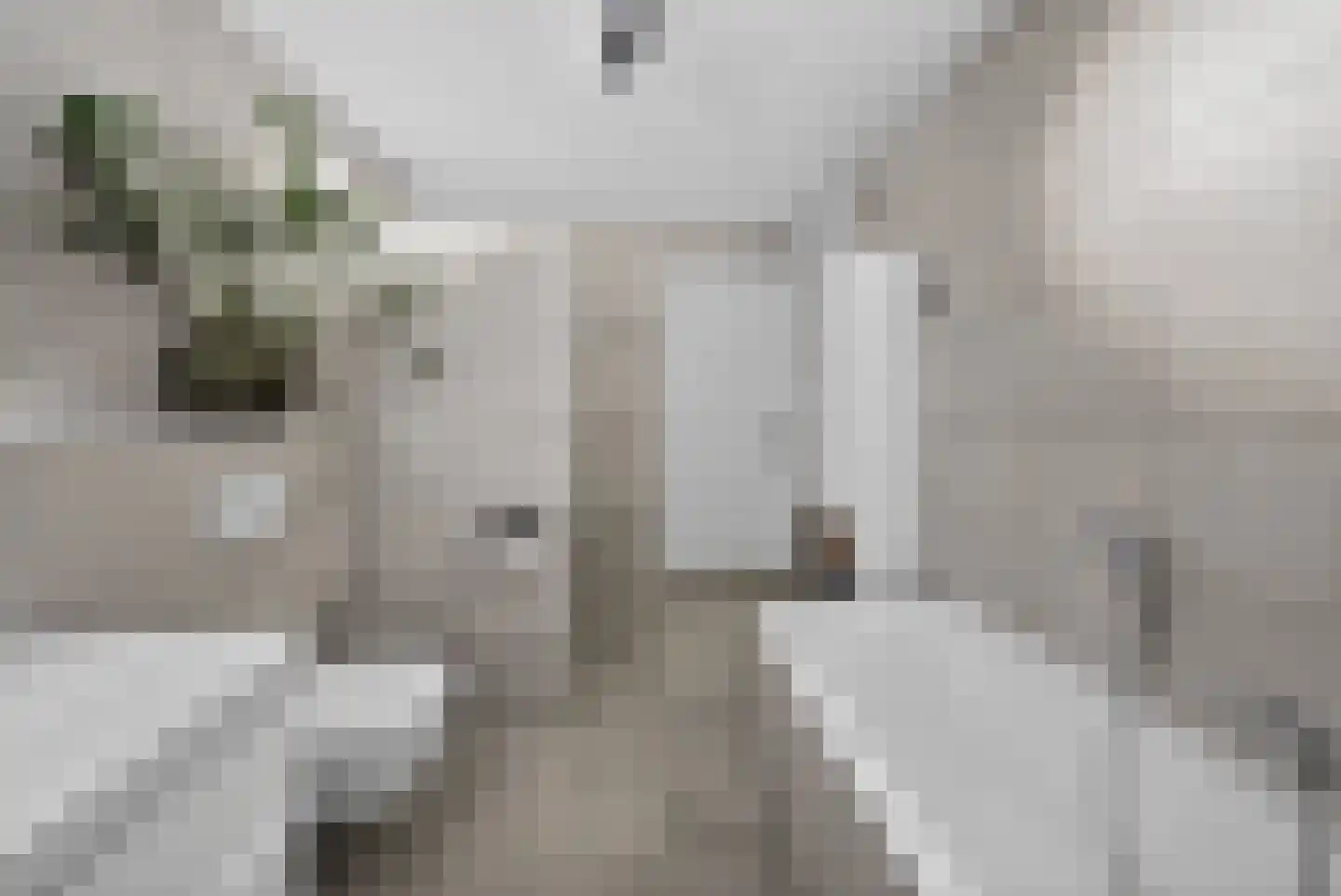 Baan 48 G Rotterdam thumbnail 48