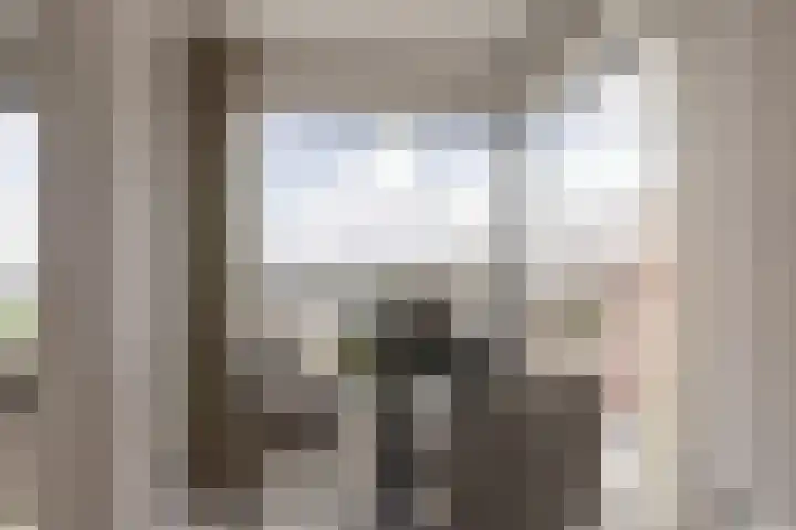 Baan 48 L Rotterdam thumbnail 20