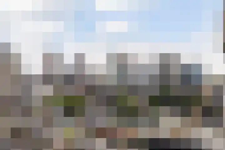Baan 48 L Rotterdam thumbnail 28