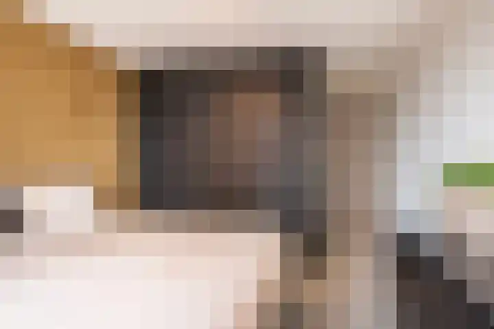 Baan 48 L Rotterdam thumbnail 36