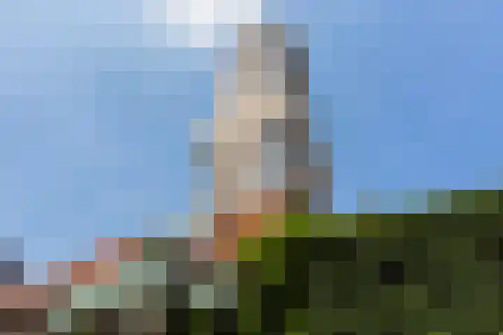 Baan 48 M Rotterdam thumbnail 32
