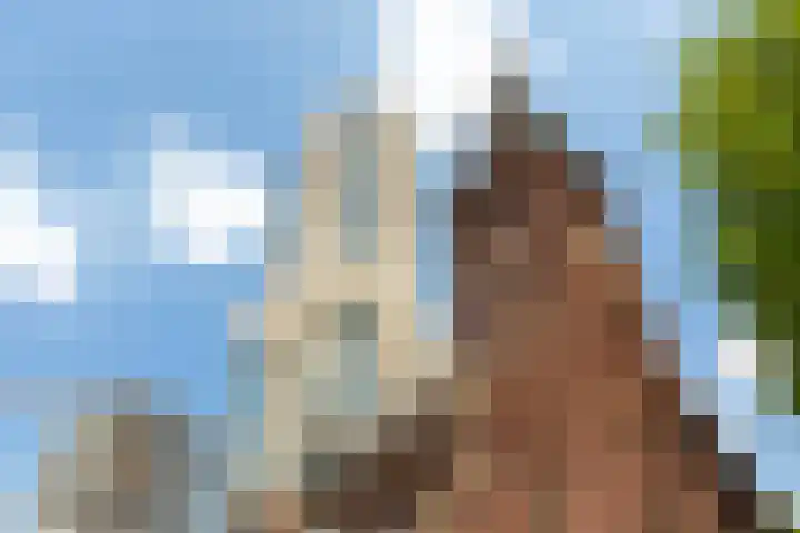Baan 48 M Rotterdam thumbnail 33