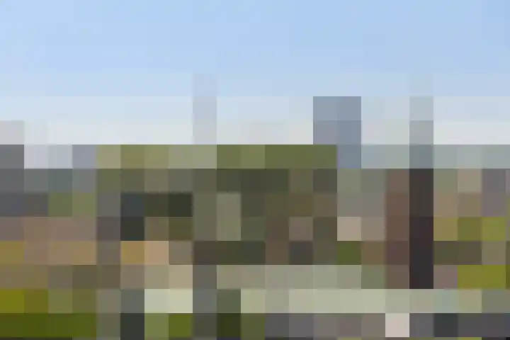Baan 48 M Rotterdam thumbnail 36