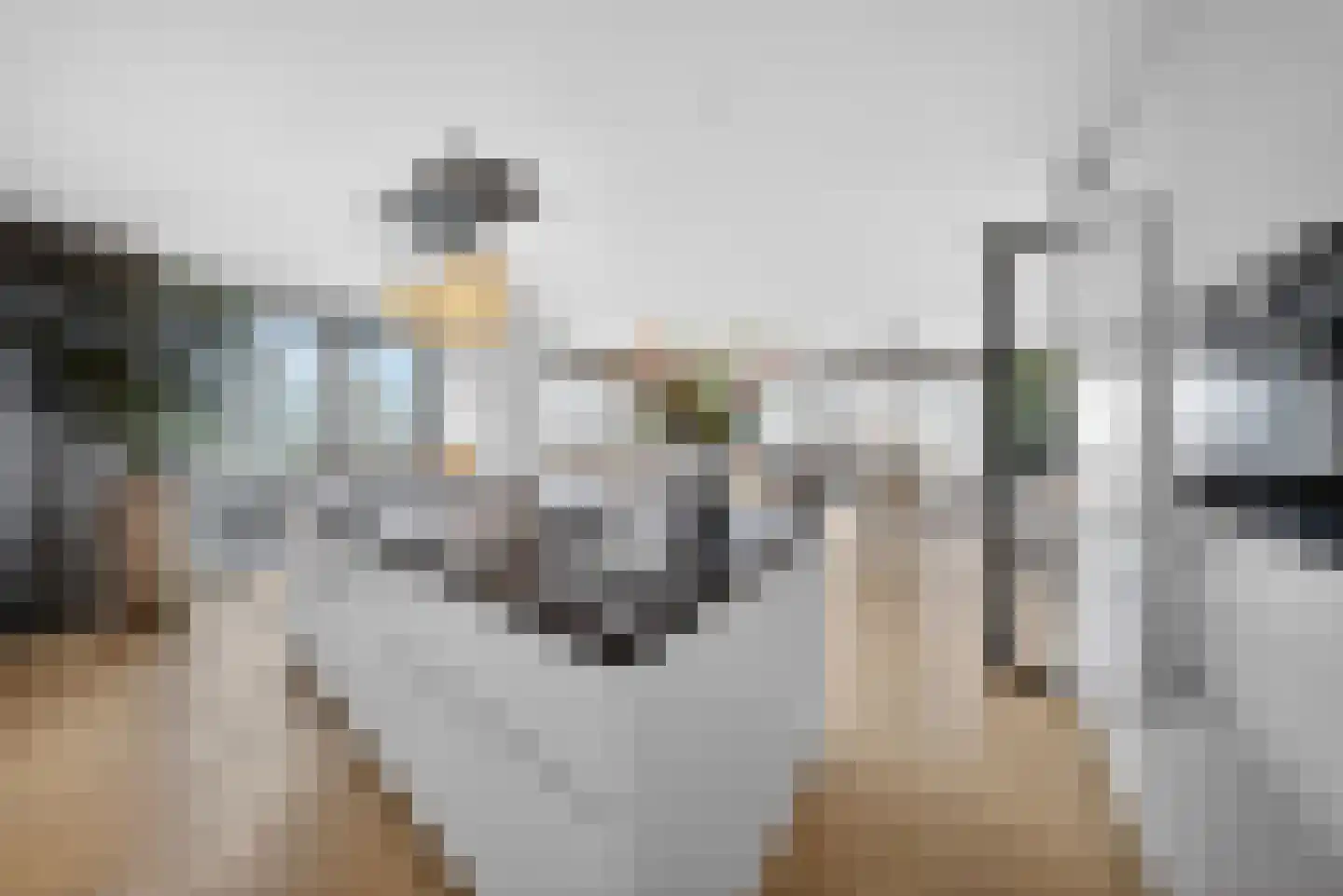 Baan 48 M Rotterdam thumbnail 4