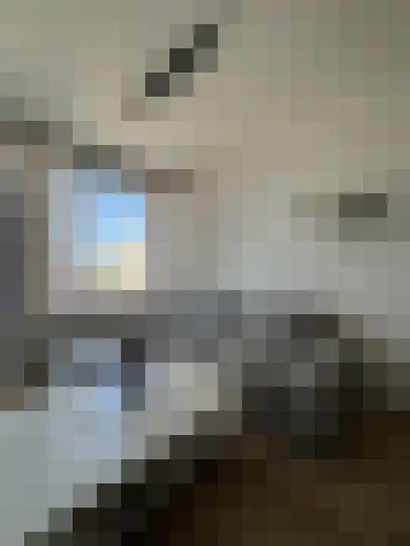 Baan 48 N Rotterdam thumbnail 4