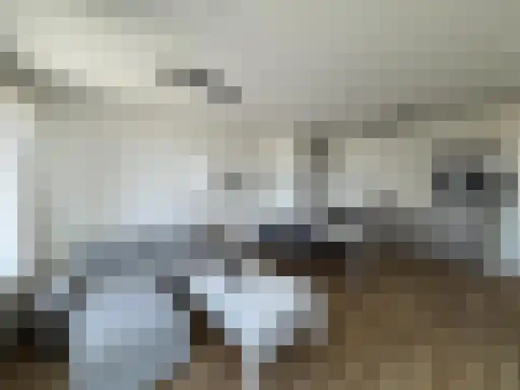 Baan 48 N Rotterdam thumbnail 5