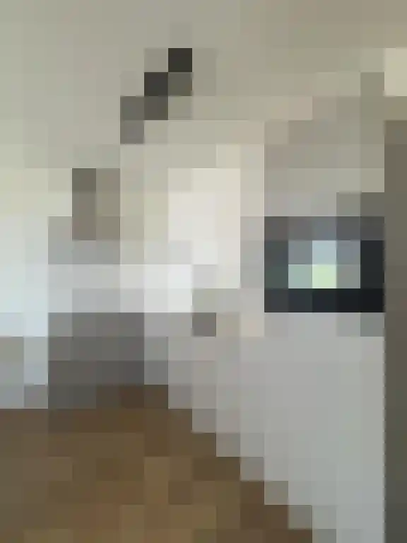 Baan 48 N Rotterdam thumbnail 6