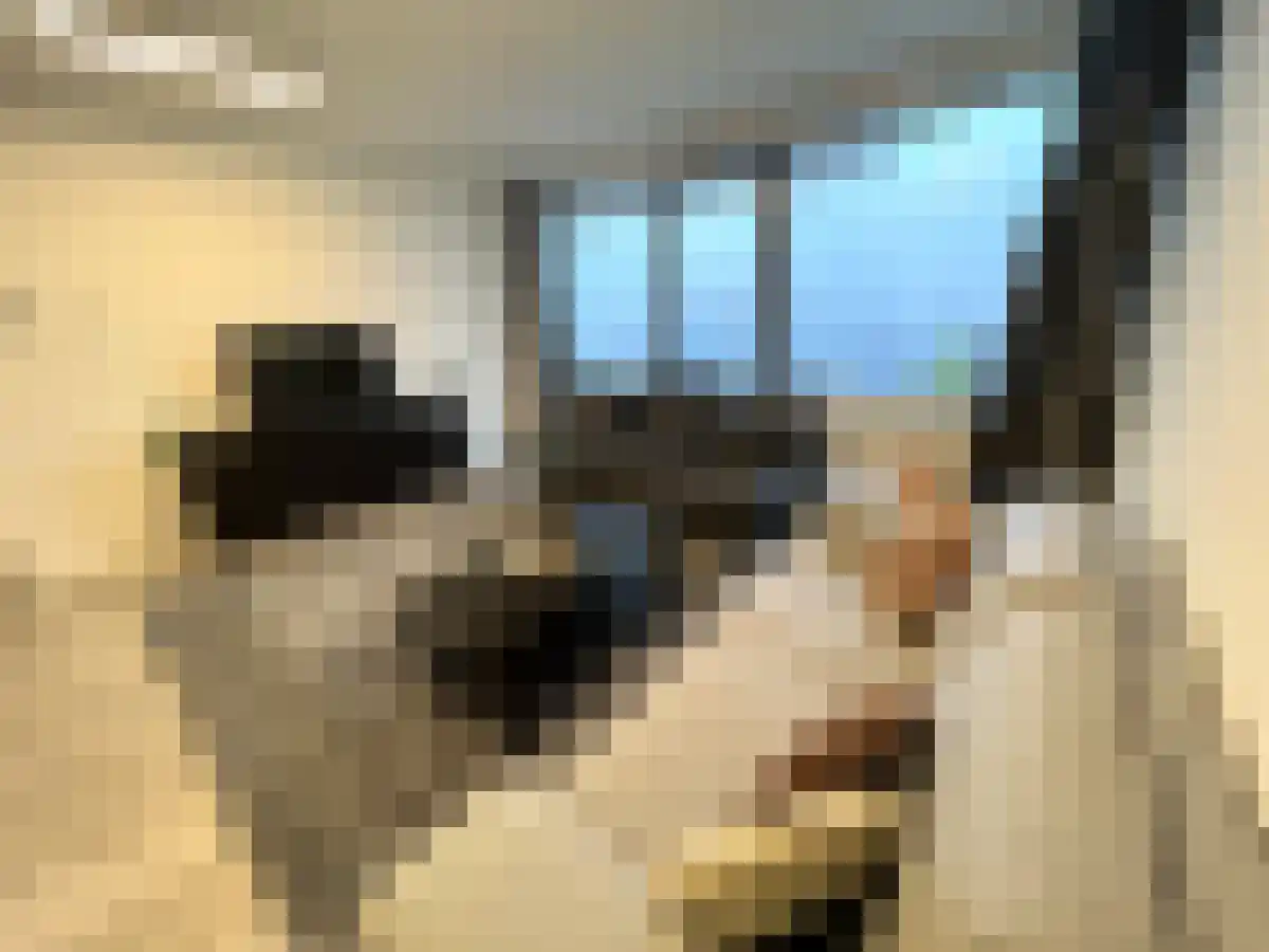 Baan 48 Rotterdam thumbnail 4