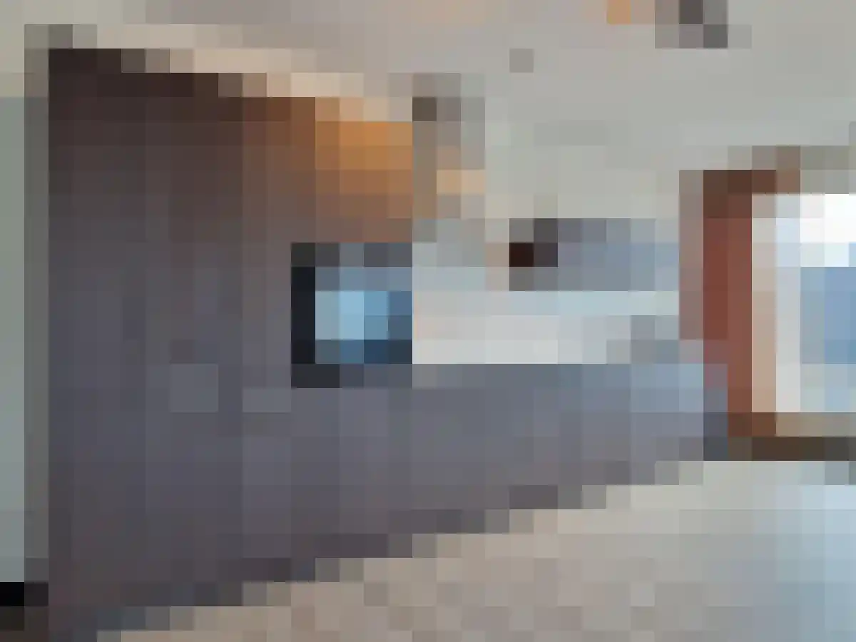 Baan 48 Rotterdam thumbnail 5