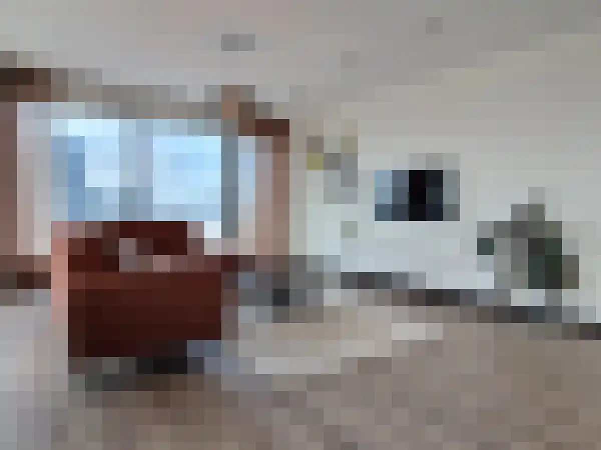 Baan 48 Rotterdam thumbnail 6