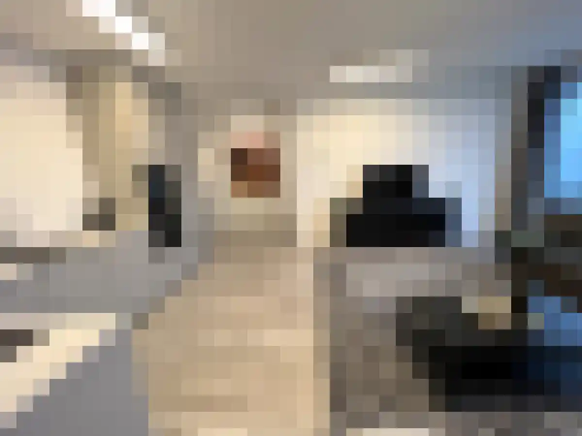 Baan 48 Rotterdam thumbnail 6