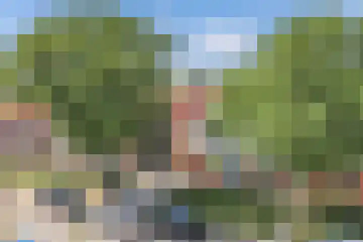 Baan 49 A Ens thumbnail 14