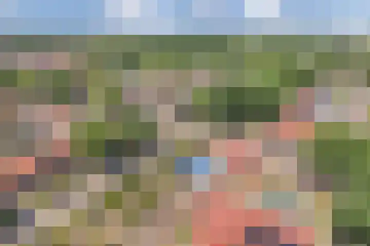 Baan 49 A Ens thumbnail 15