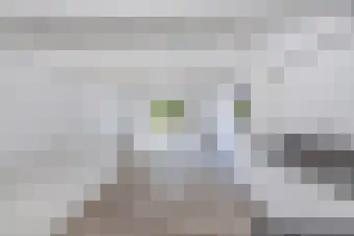 Baan 49 A Ens thumbnail 20