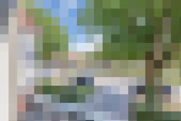 Baan 49 A Ens thumbnail 23