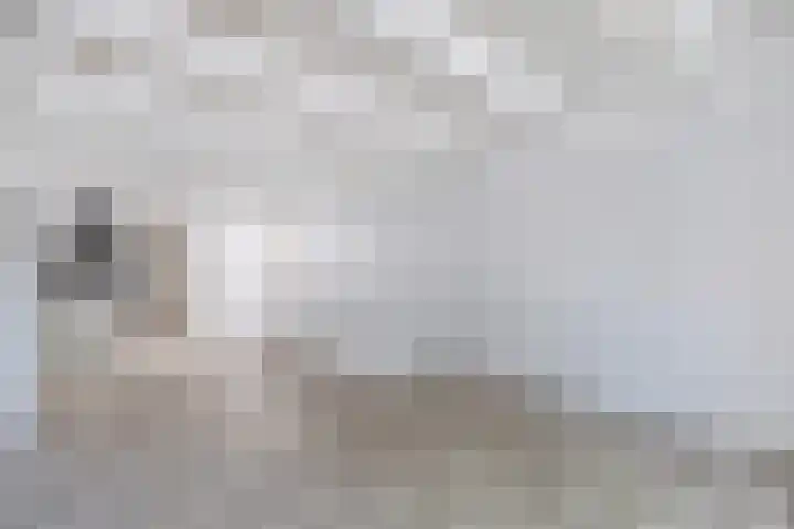 Baan 49 A Ens thumbnail 26