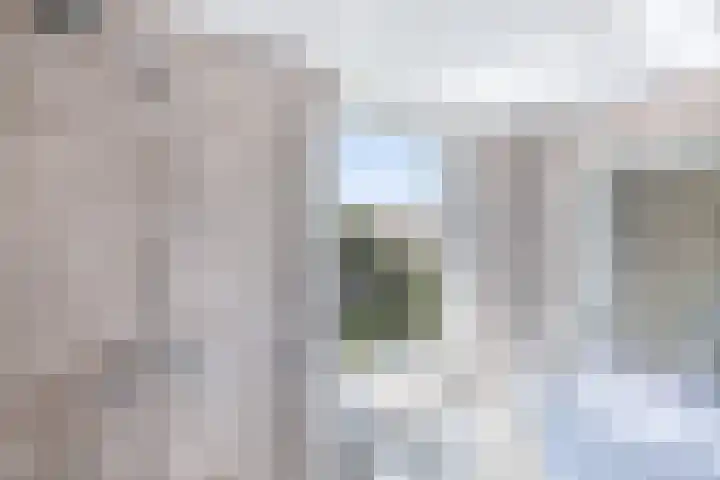 Baan 49 A Ens thumbnail 4