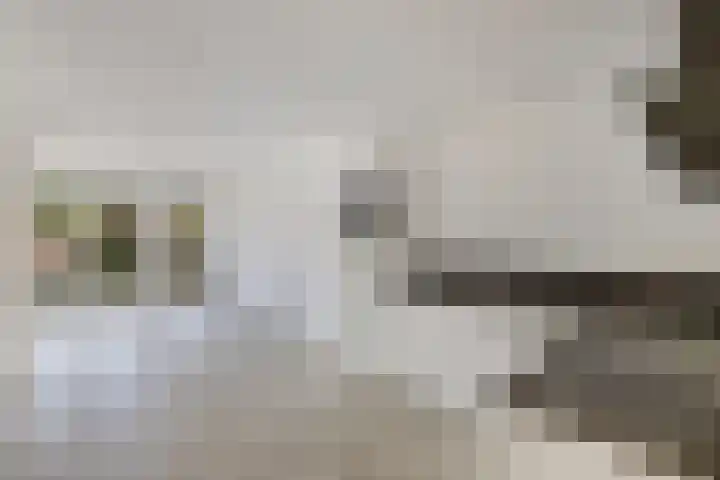 Baan 49 Ens foto 3