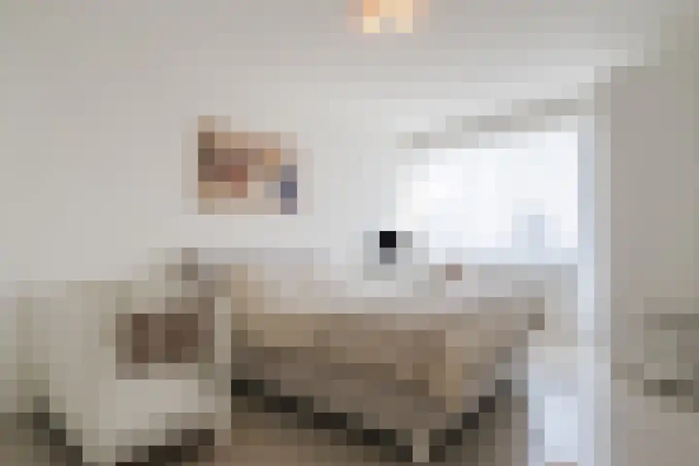 Baan 50 C Rotterdam thumbnail 18
