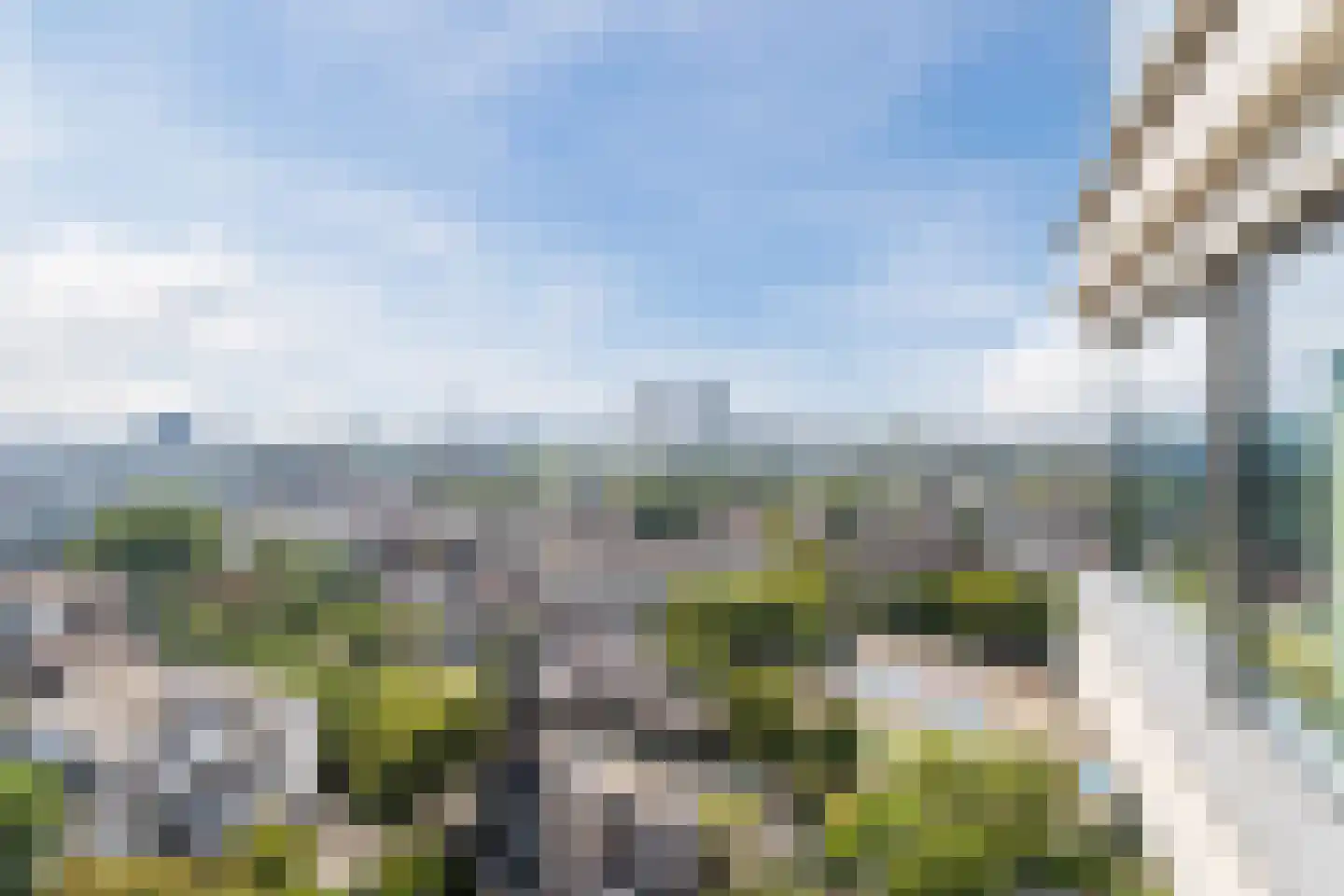Baan 50 C Rotterdam thumbnail 26