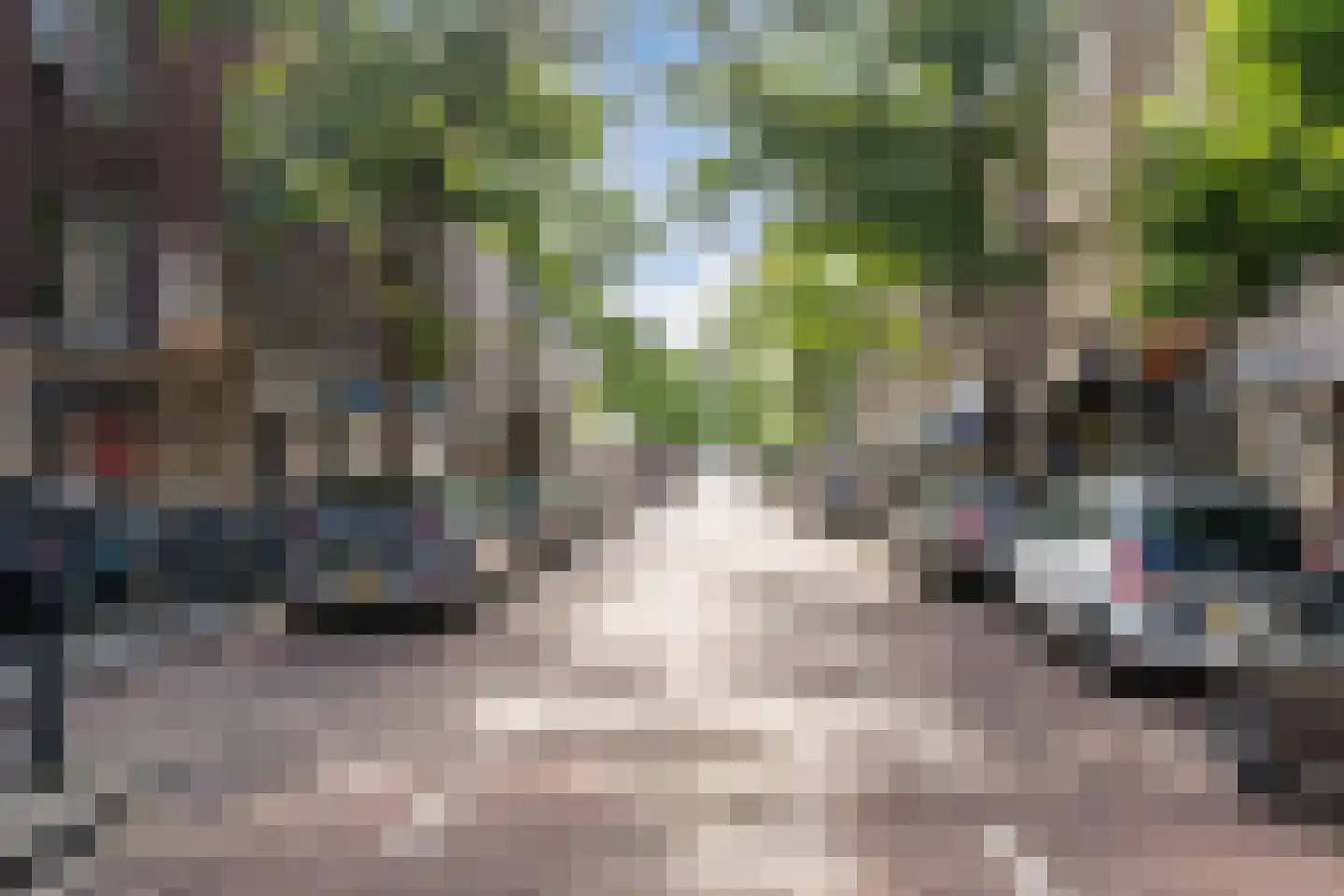 Baan 50 C Rotterdam thumbnail 37