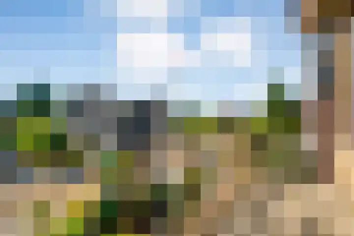 Baan 50 IJsselmuiden thumbnail 30