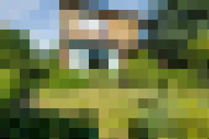 Baan 50 IJsselmuiden thumbnail 4