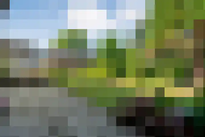 Baan 50 IJsselmuiden thumbnail 40