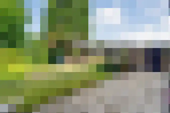 Baan 50 IJsselmuiden thumbnail 41