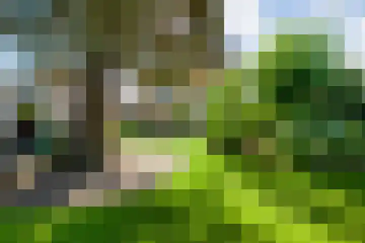 Baan 50 IJsselmuiden thumbnail 43