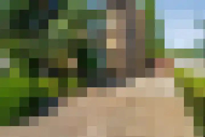 Baan 50 IJsselmuiden thumbnail 5