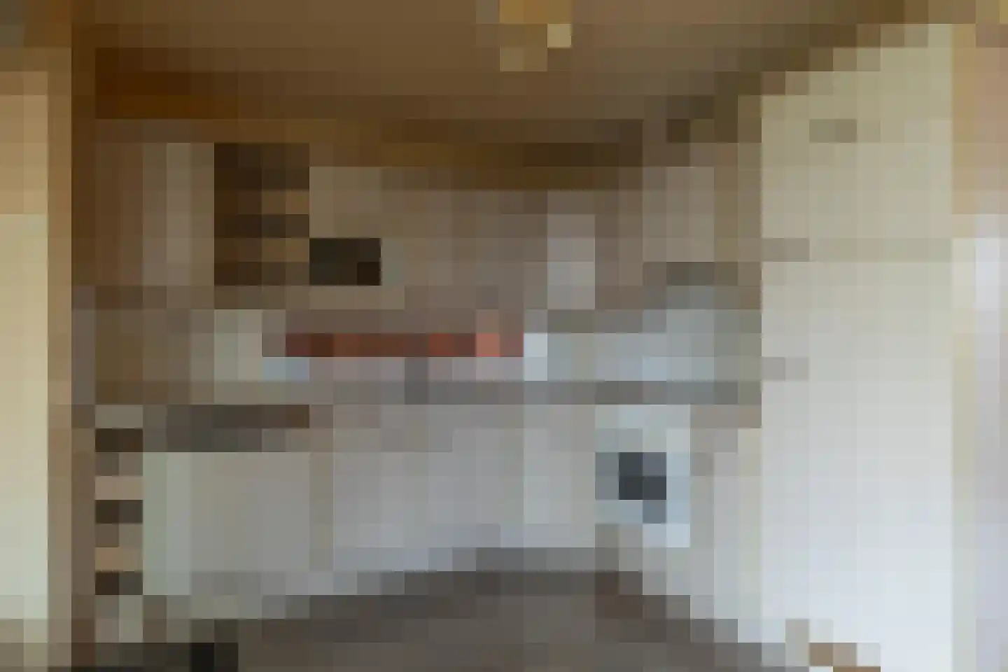 Baan 52 IJsselmuiden thumbnail 10