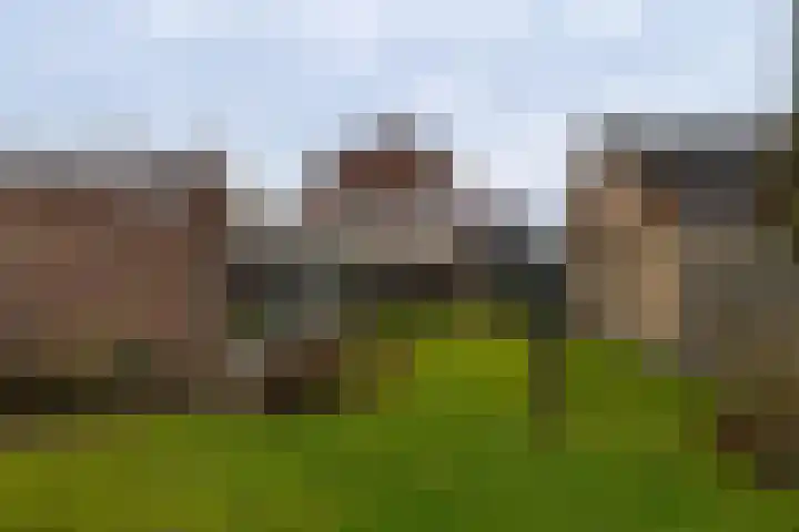 Baan 52 IJsselmuiden thumbnail 26