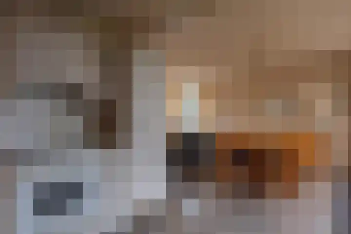 Baan 52 IJsselmuiden thumbnail 9