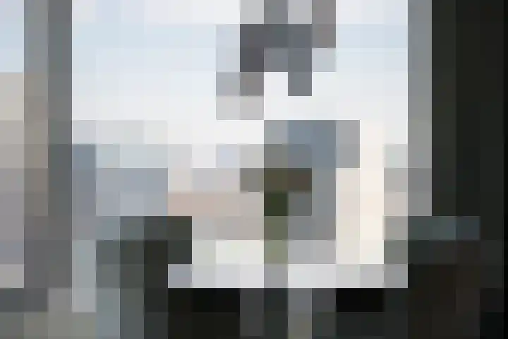 Baan 52 N Rotterdam thumbnail 14