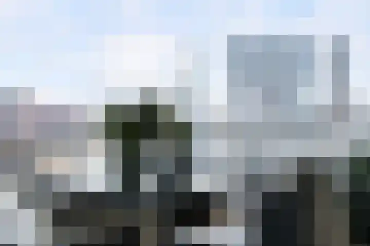 Baan 52 N Rotterdam thumbnail 35