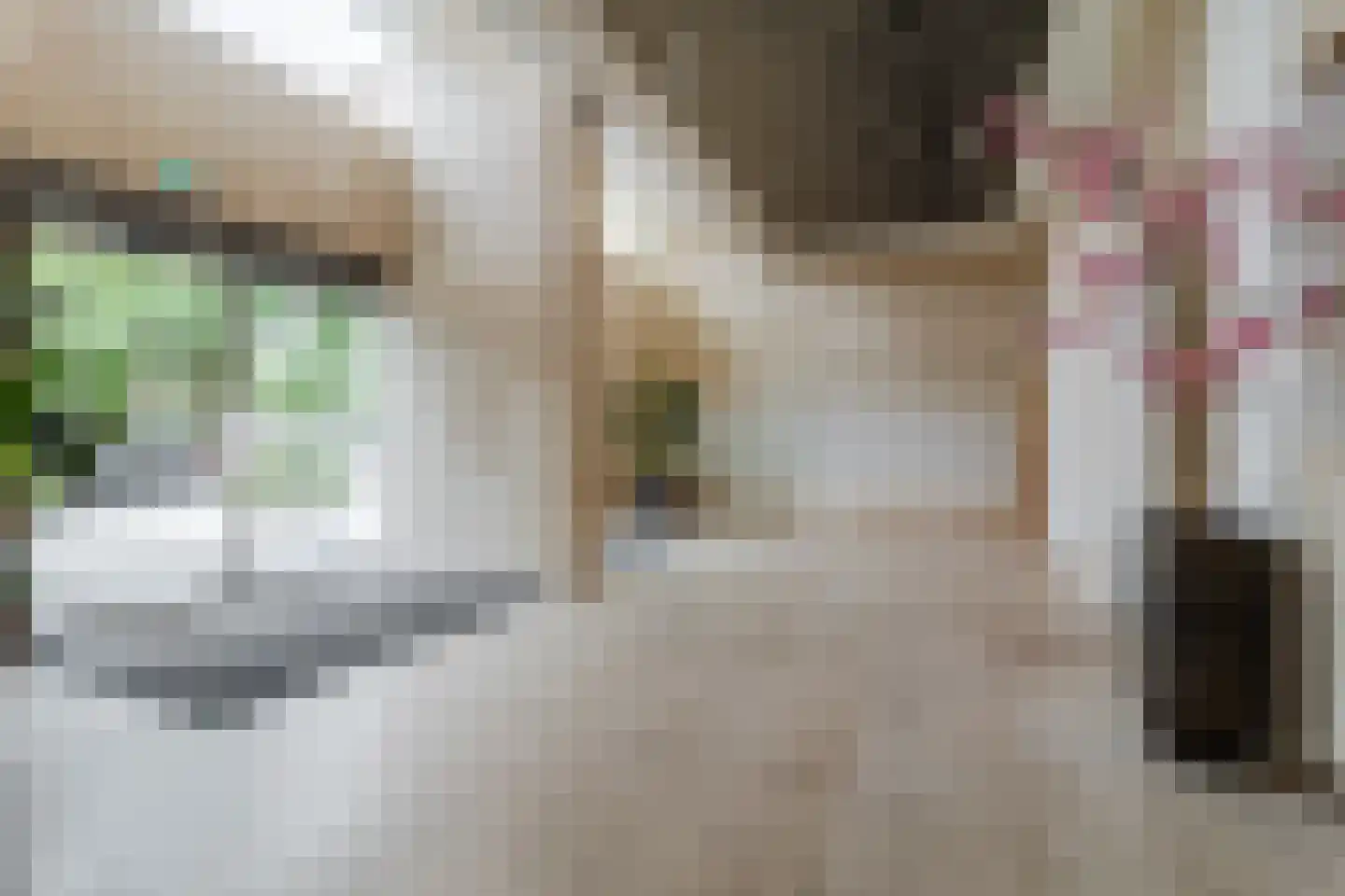 Baan 54 R Rotterdam thumbnail 33