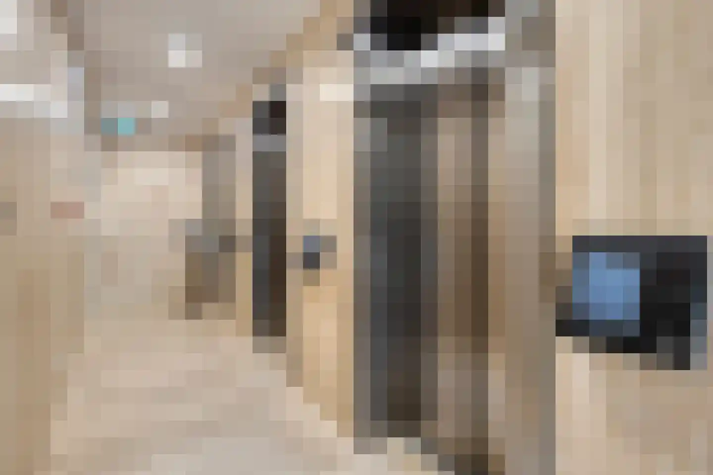 Baan 54 S Rotterdam thumbnail 7