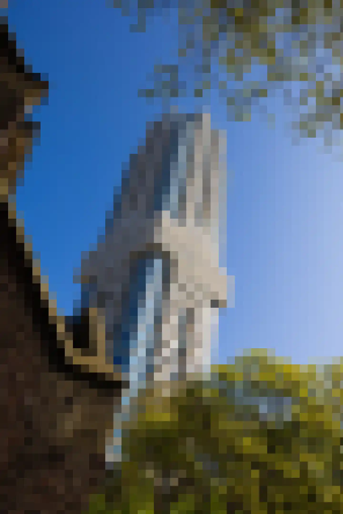 Baan 54 T Rotterdam thumbnail 33