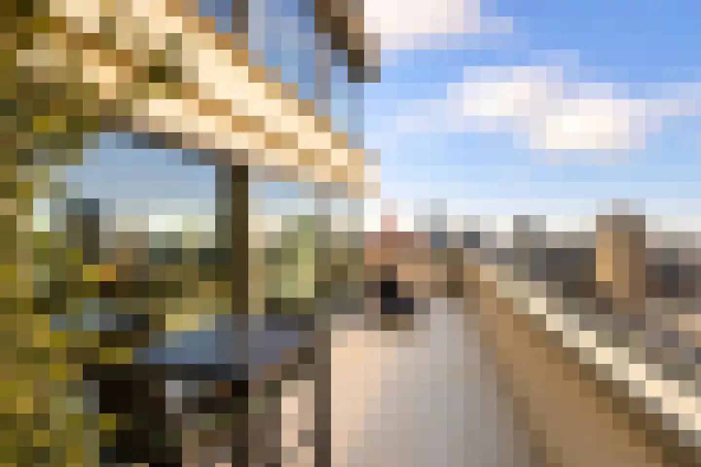 Baan 54 T Rotterdam thumbnail 9