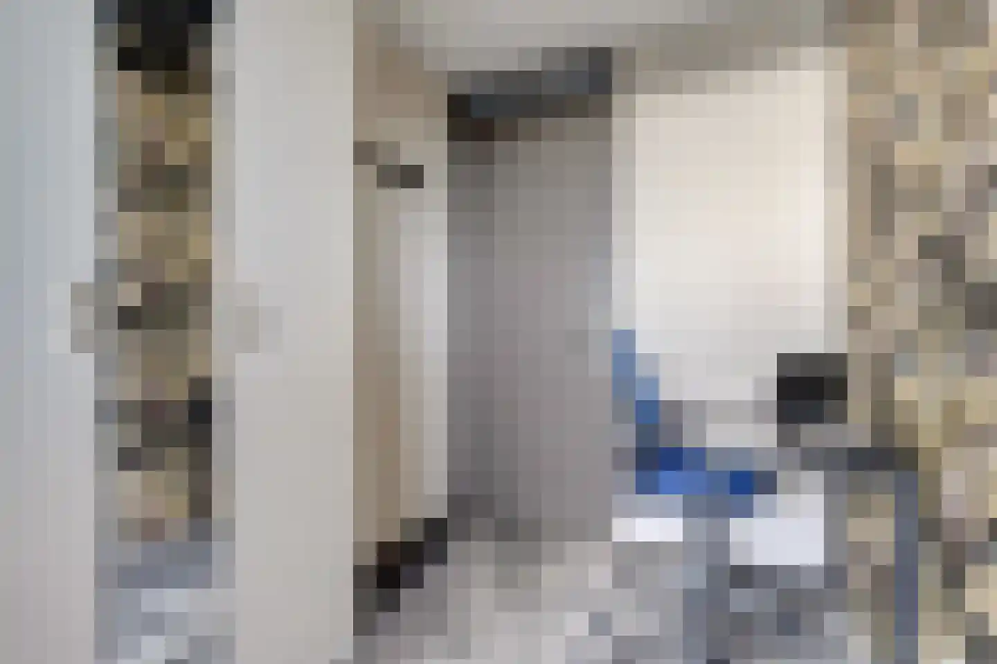 Baan 54 W Rotterdam thumbnail 21