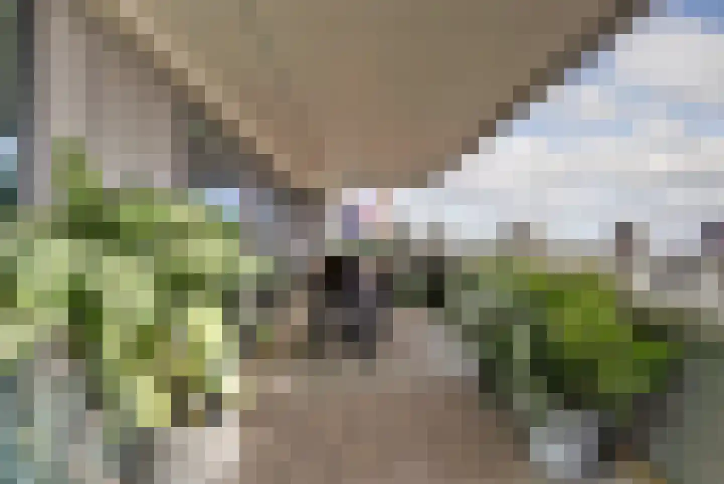 Baan 54 W Rotterdam thumbnail 29