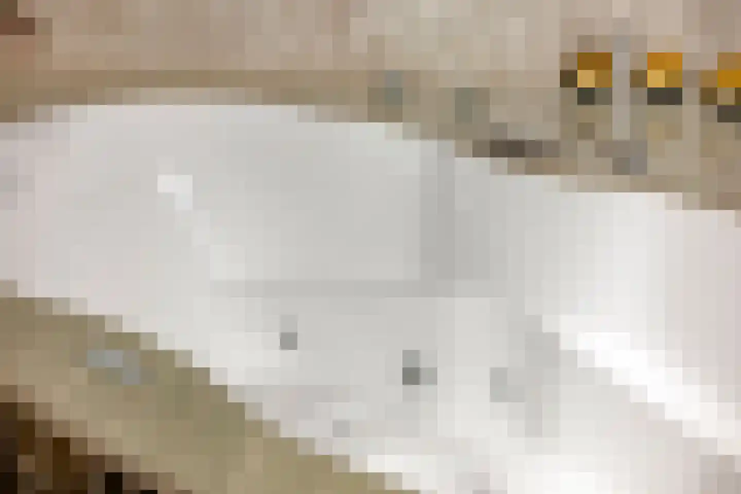 Baan 54 W Rotterdam thumbnail 32