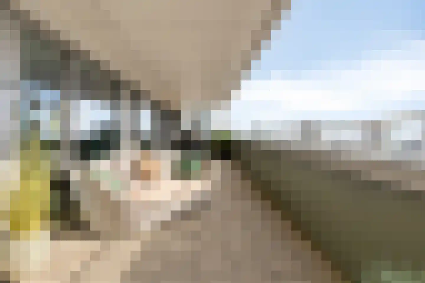 Baan 54 W Rotterdam thumbnail 40
