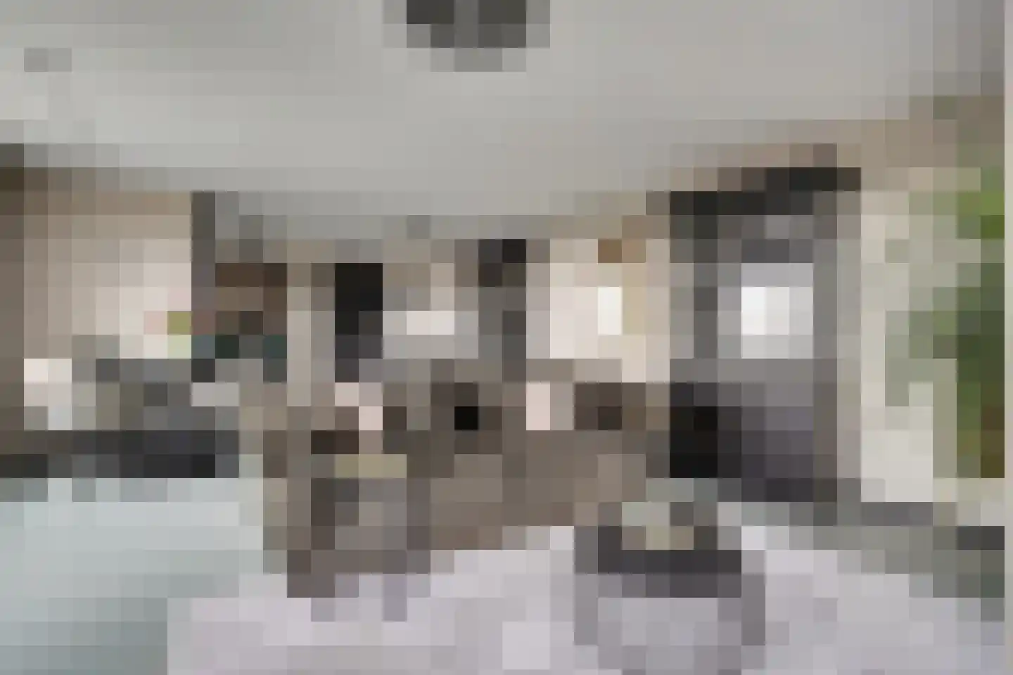Baan 54 W Rotterdam thumbnail 5