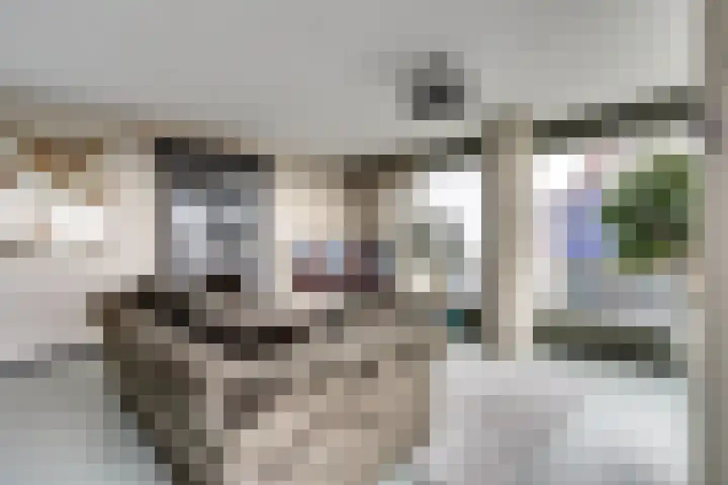 Baan 54 W Rotterdam thumbnail 6