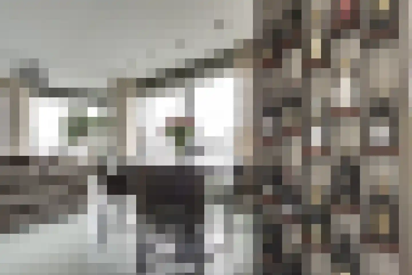 Baan 54 W Rotterdam thumbnail 8