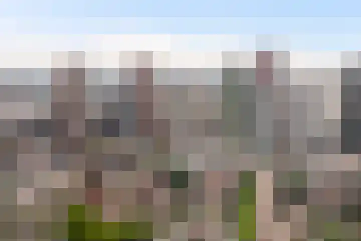 Baan 56 N Rotterdam thumbnail 26