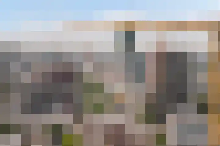 Baan 56 N Rotterdam thumbnail 31