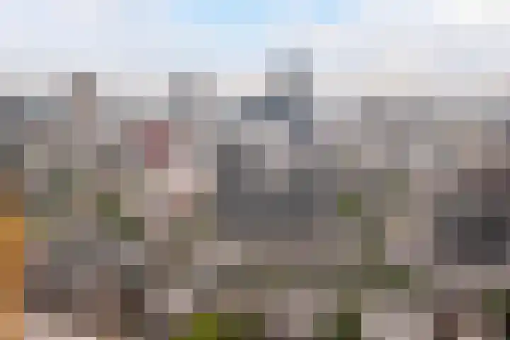 Baan 56 N Rotterdam thumbnail 32